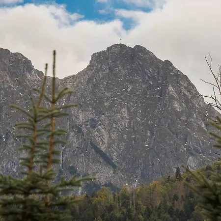 Rent Like - Goralska Nuta *